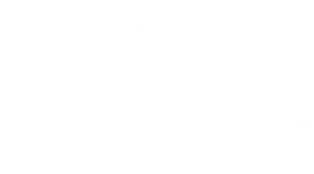 logo Bluefy
